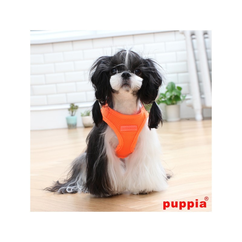 Colete peitoral neon para cães, laranja
