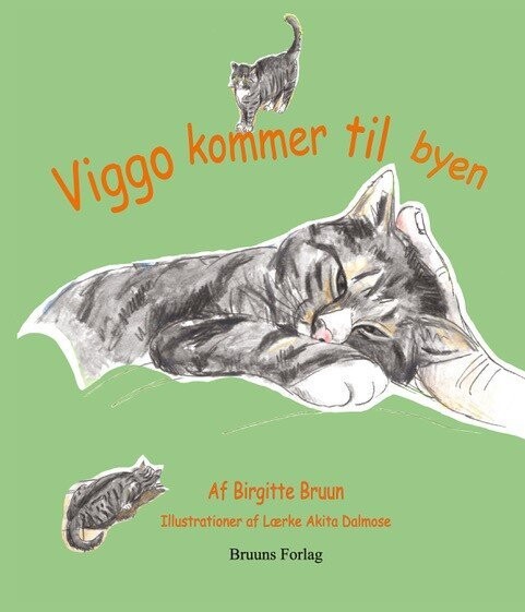 Viggo Kommer Til Byen - Birgitte Bruun - Bog