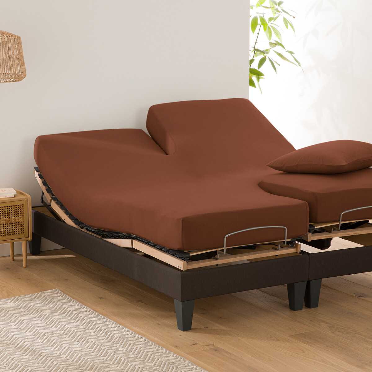LA REDOUTE INTERIEURS<br>Lençol de baixo liso em algodão orgânico, base de cama ajustável, Scenario