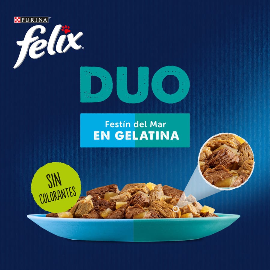 Sachês Felix Fantastic Duo Peixe em Gelatina - Pacote com 4 unidades