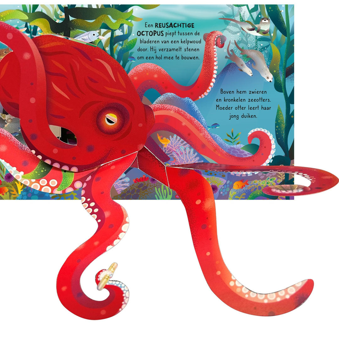 Uitgeverij usborne pop-upboek de oceaan
