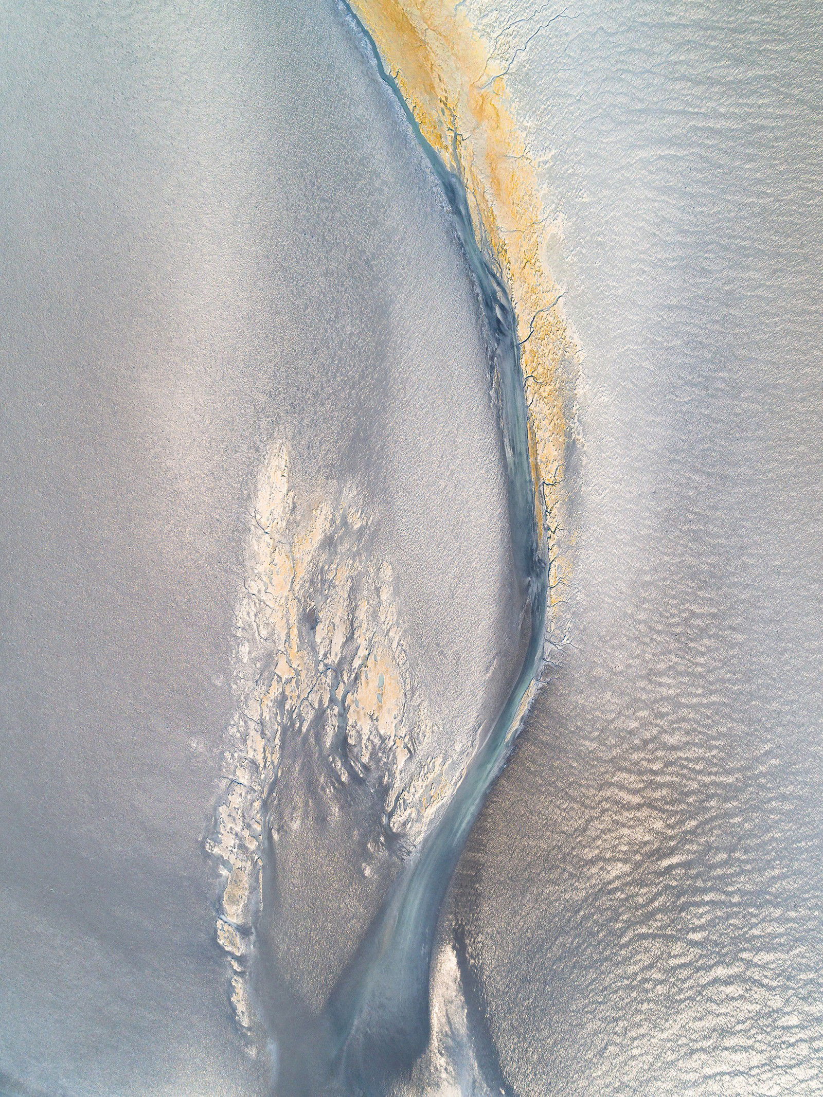 Tidal Paintings I by Kevin Krautgartner - Limited Edition. Edition of: 150. Signed.