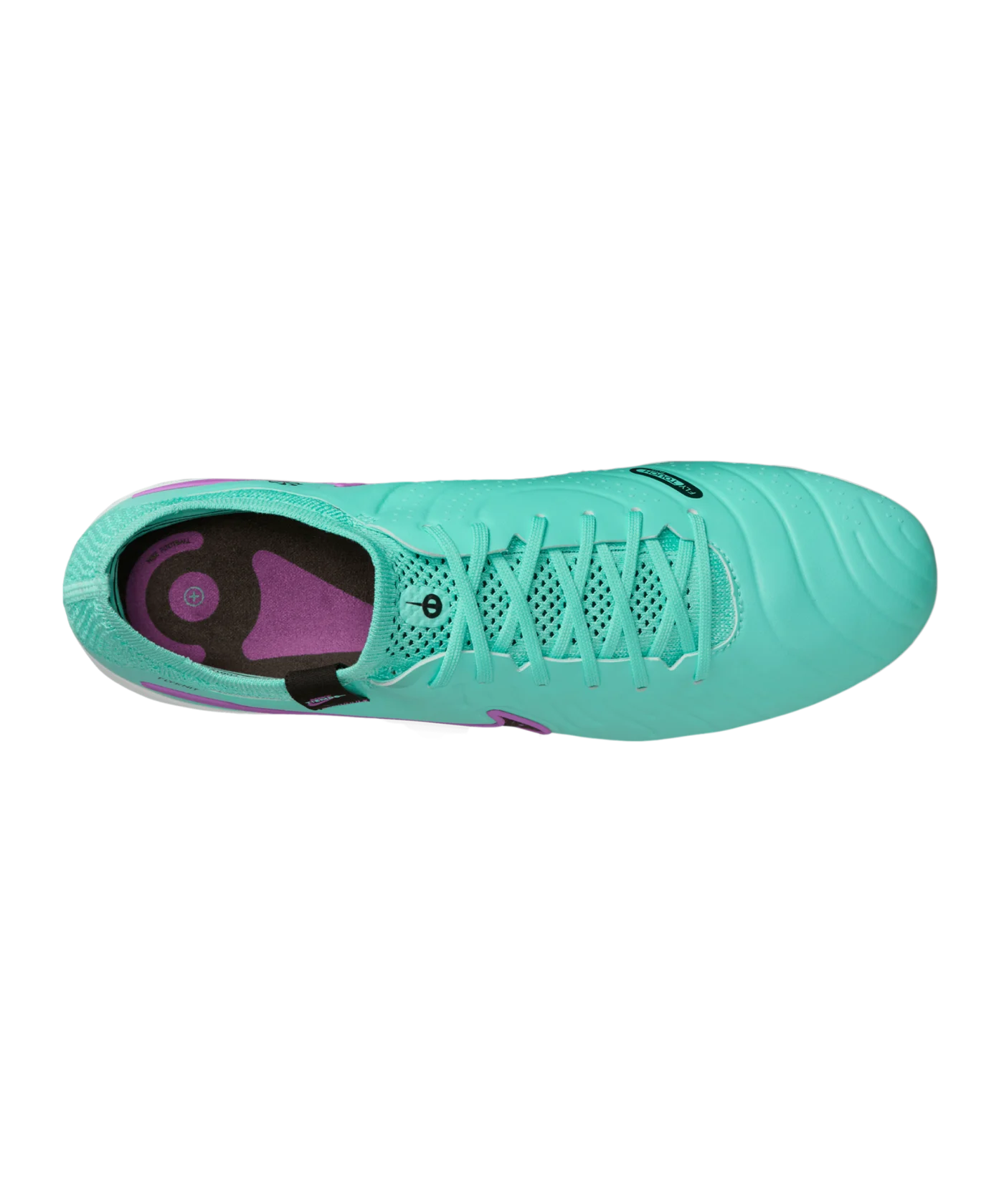 Nike Tiempo Legend X Elite SG AC Peak Ready Grün Schwarz Pink F300
