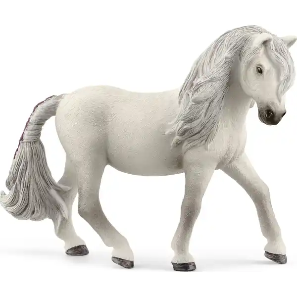 13942 Island Pony Stute
