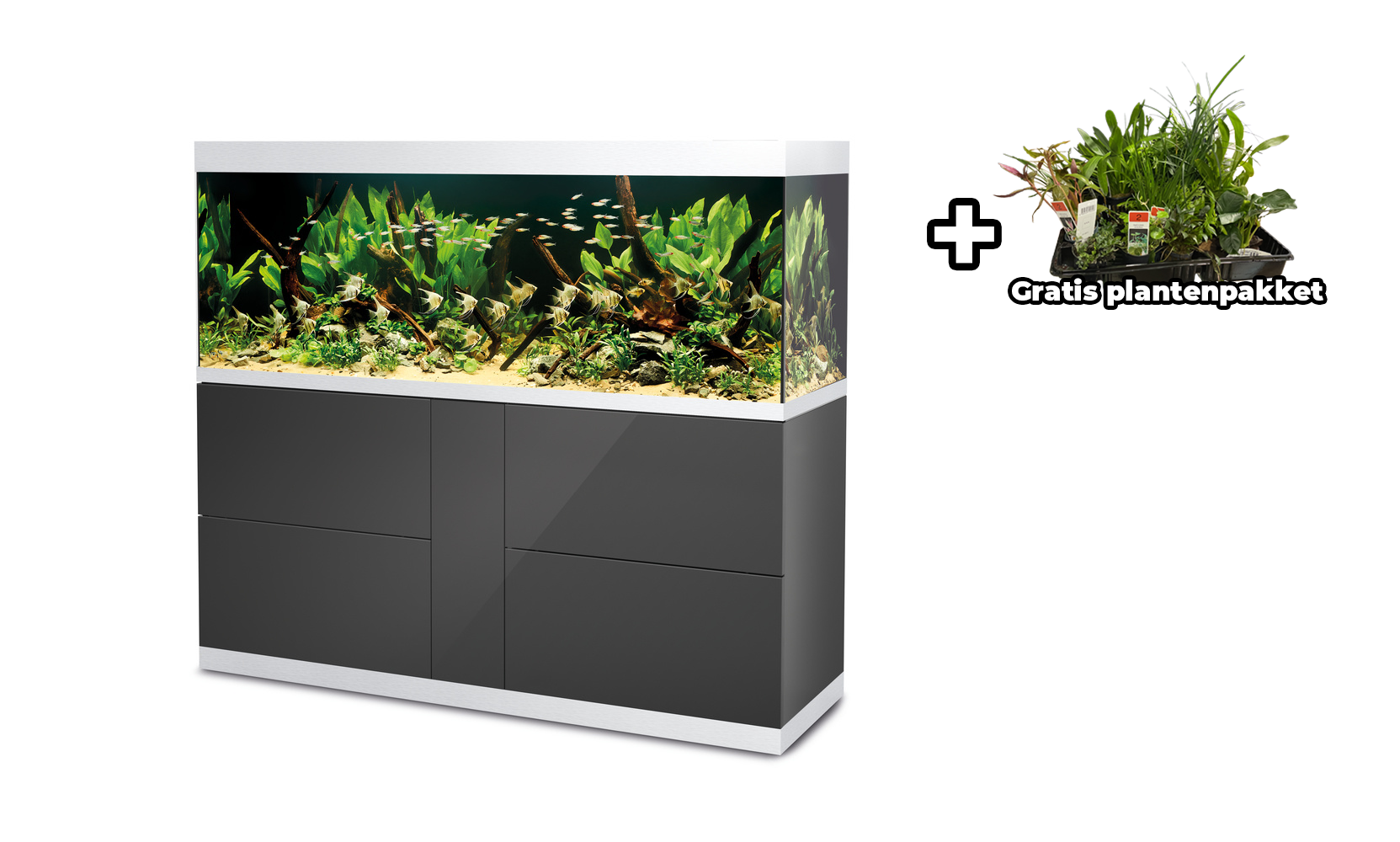 Oase HighLine 600 Optiwhite Set Antraciet | Aquaria