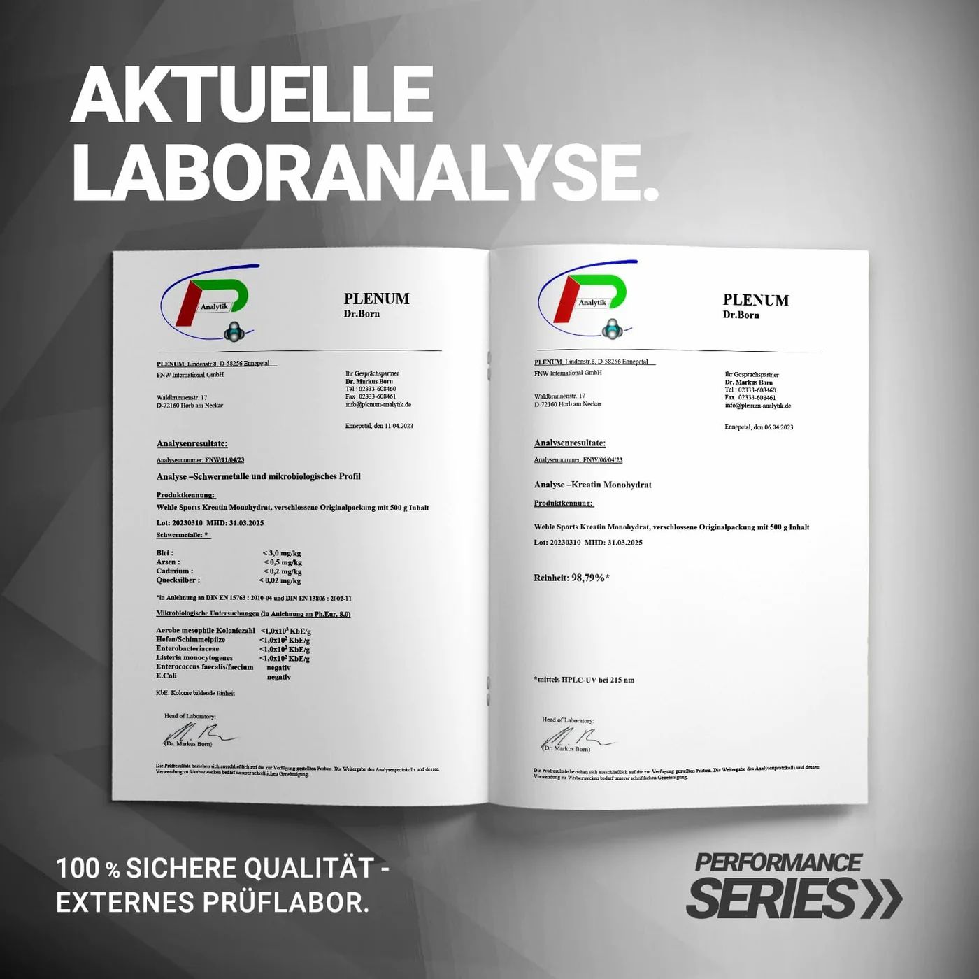 Creatine 5000 Monohydrat - Kreatin Kapseln von Wehle Sports®