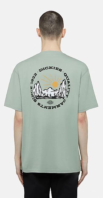 DICKIES - T-SHIRT MC MAPLETON T-SHIRT