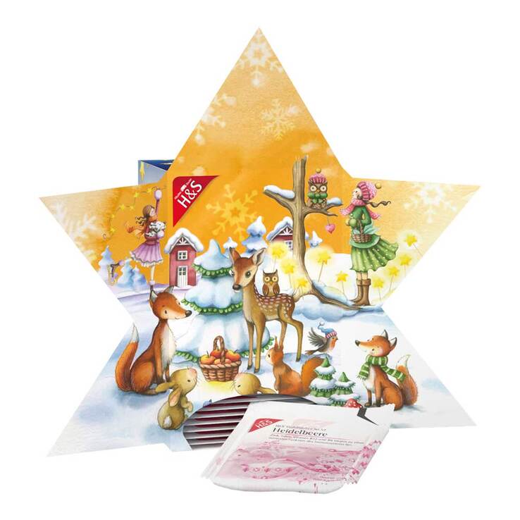 H&S Adventskalender Stern Filterbeutel, 24 St