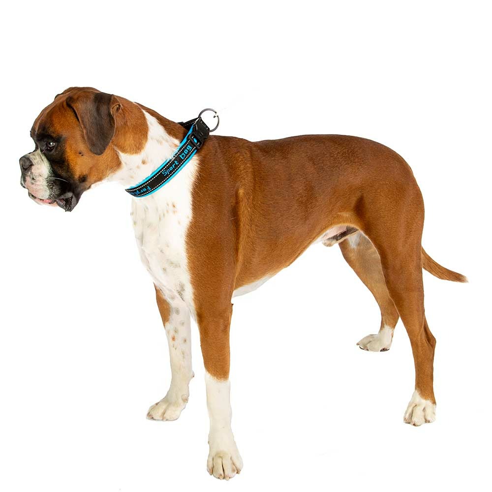Ferplast collier pour chiens sport dog c25/55, poignée rembourée, ceinture réfléchissante, étiquette porte-nom, a: 45÷55 cm - b: