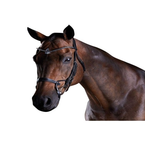 Cabeçada de cavalo em couro de cristal universitário