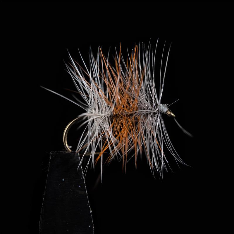 Mouche Jmc Palmers Tricolore Claire - Par 3