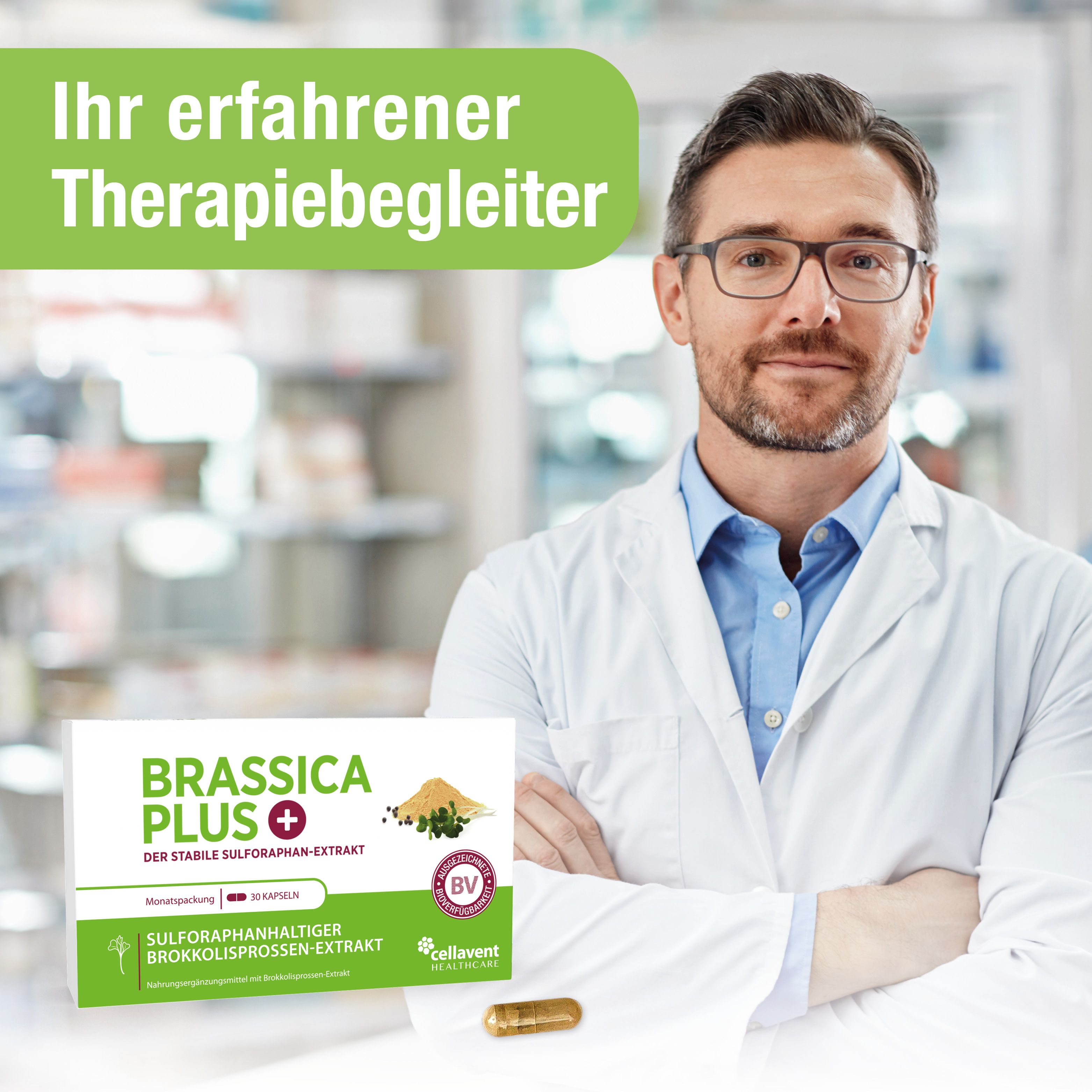 BRASSICA PLUS