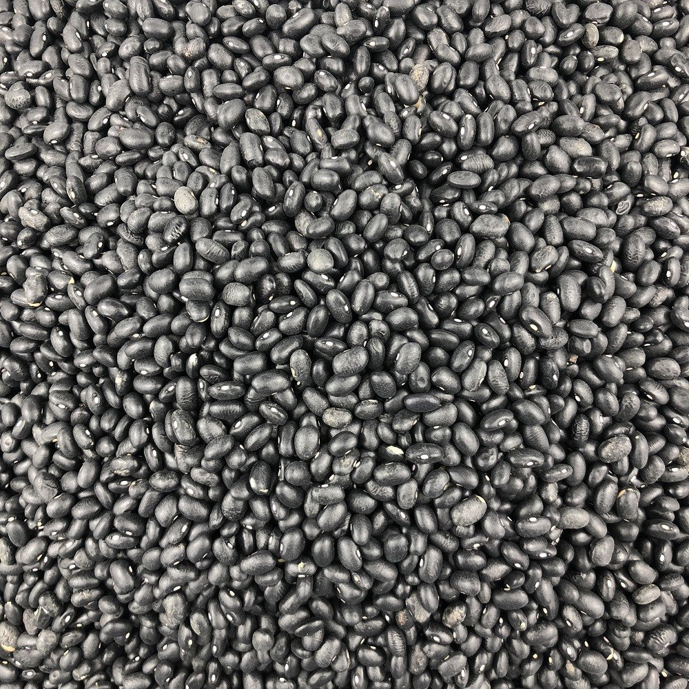 Haricot Noir Bio en Vrac 1kg Vrac Bio