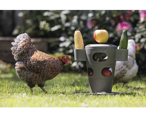 Kip Snacktoren beeztees Grijs 30 x 30 x 32,5 cm gerecycled plastic