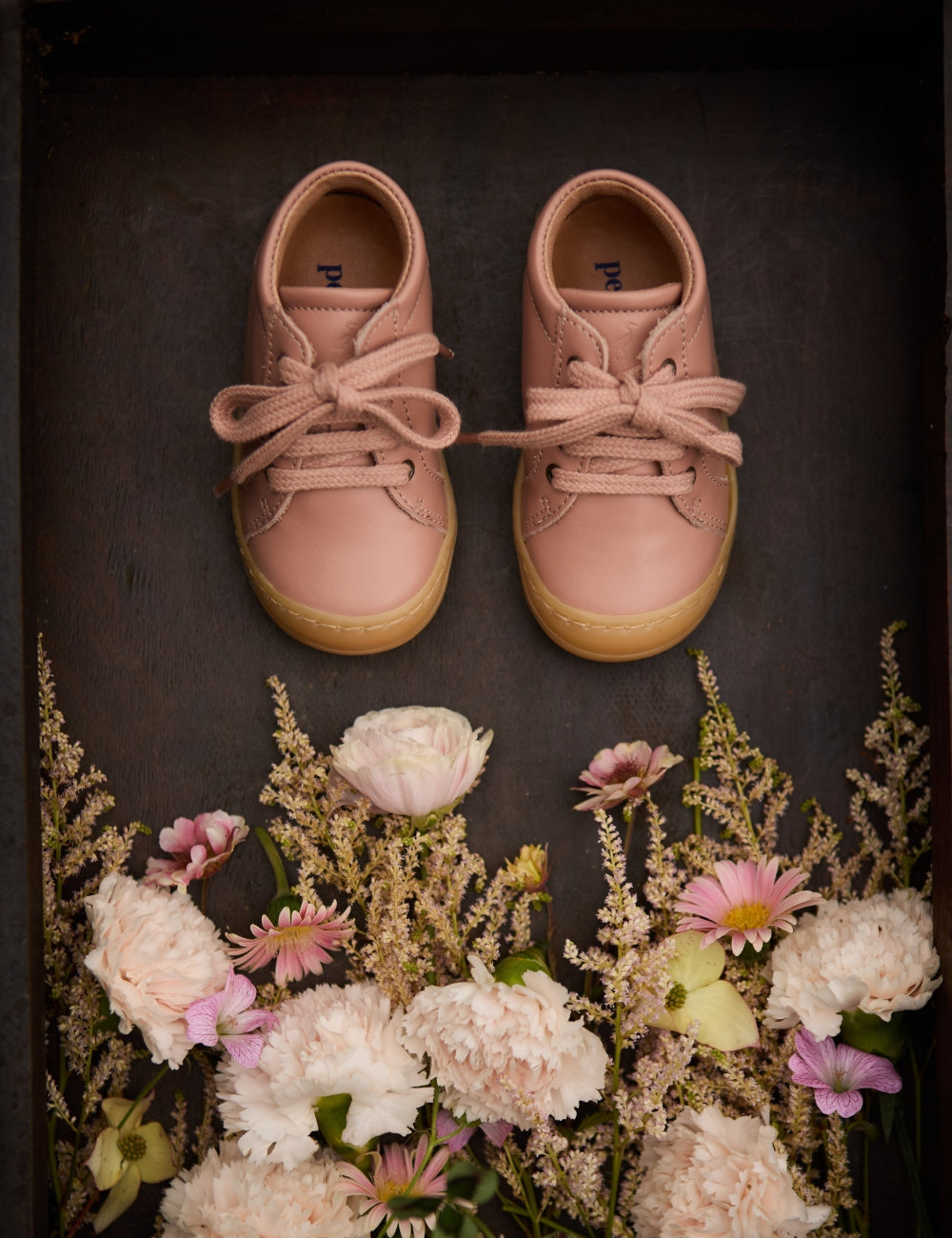 Everyday shoe Lace - Ballerina
