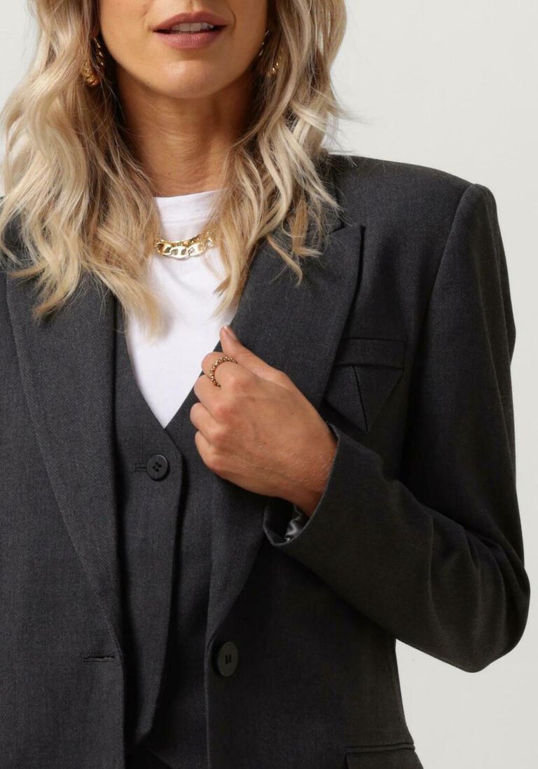 COPENHAGEN MUSE grijze copenhagen muse blazer cmtailor-ja