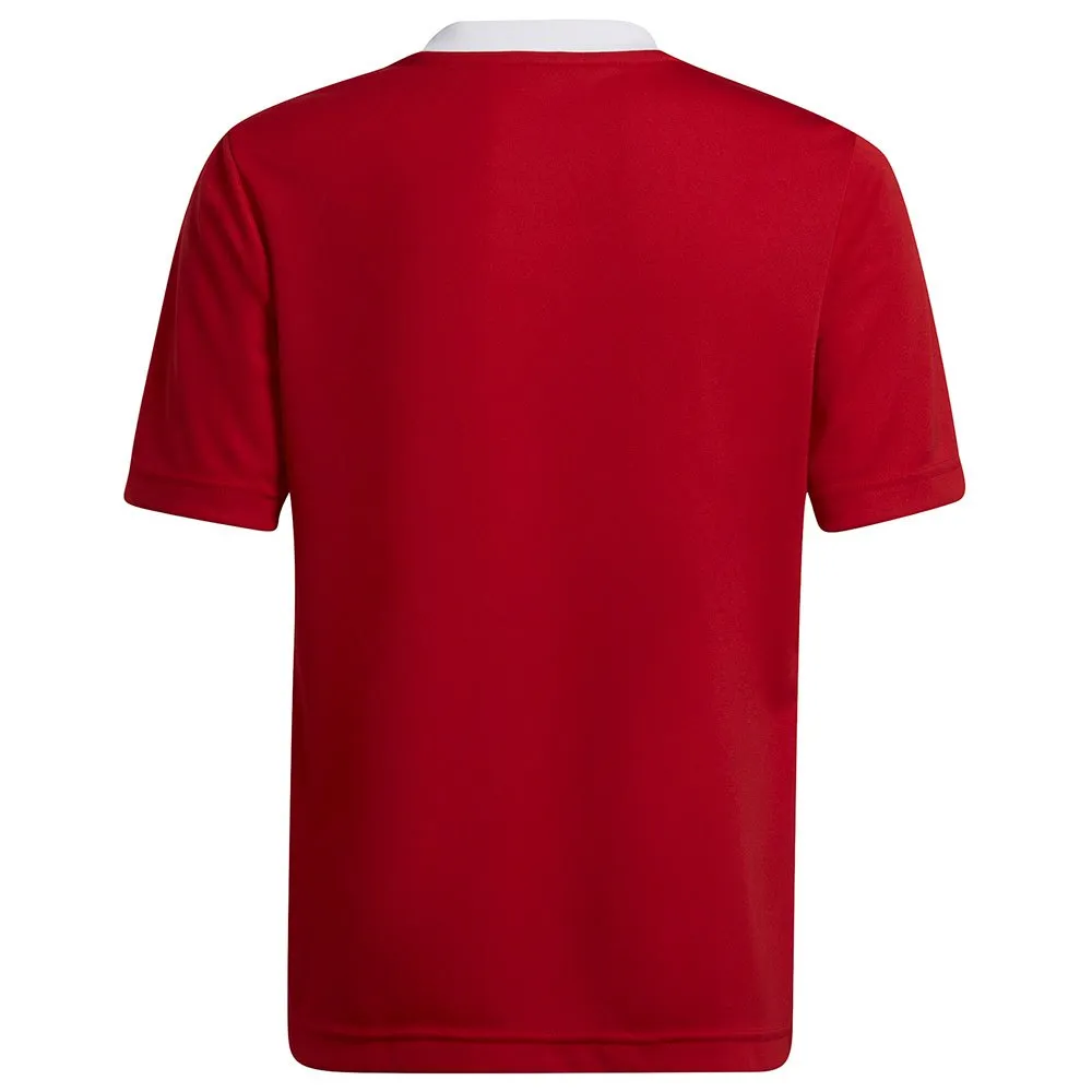 Camiseta de manga curta adidas Entrada 22