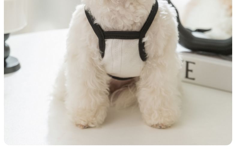 Cissilli - Pet Top met strik