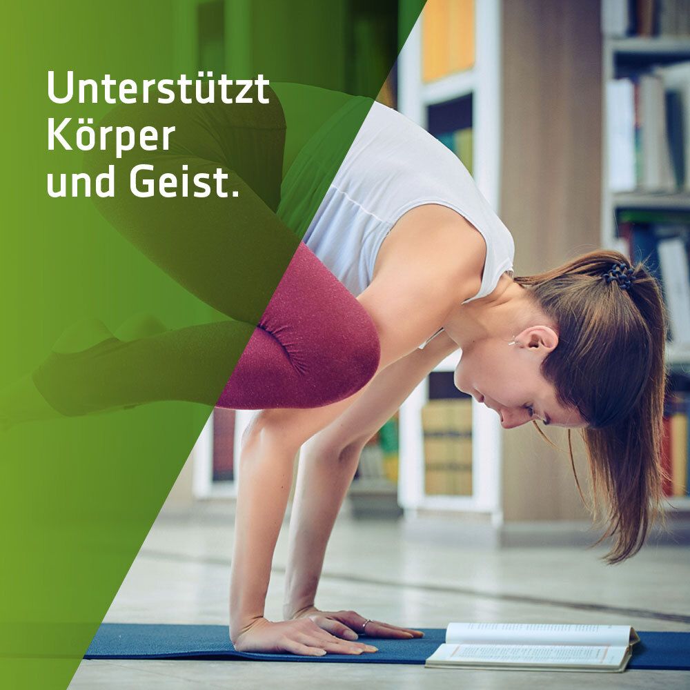 SYXYL PROBIO-CULT® RELAX N unterstützt Körper und Geist!