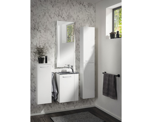 Meubel FACKELMANN Kleine Badkamercollectie BxHxD 44 x 60 cm x 24,3 cm Frontkleur wit hoogglans 86015
