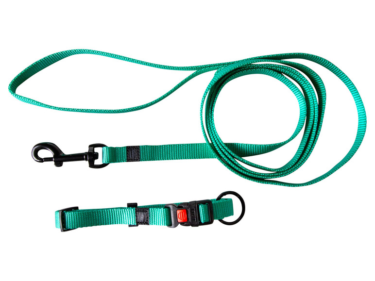 Halsband met lijn