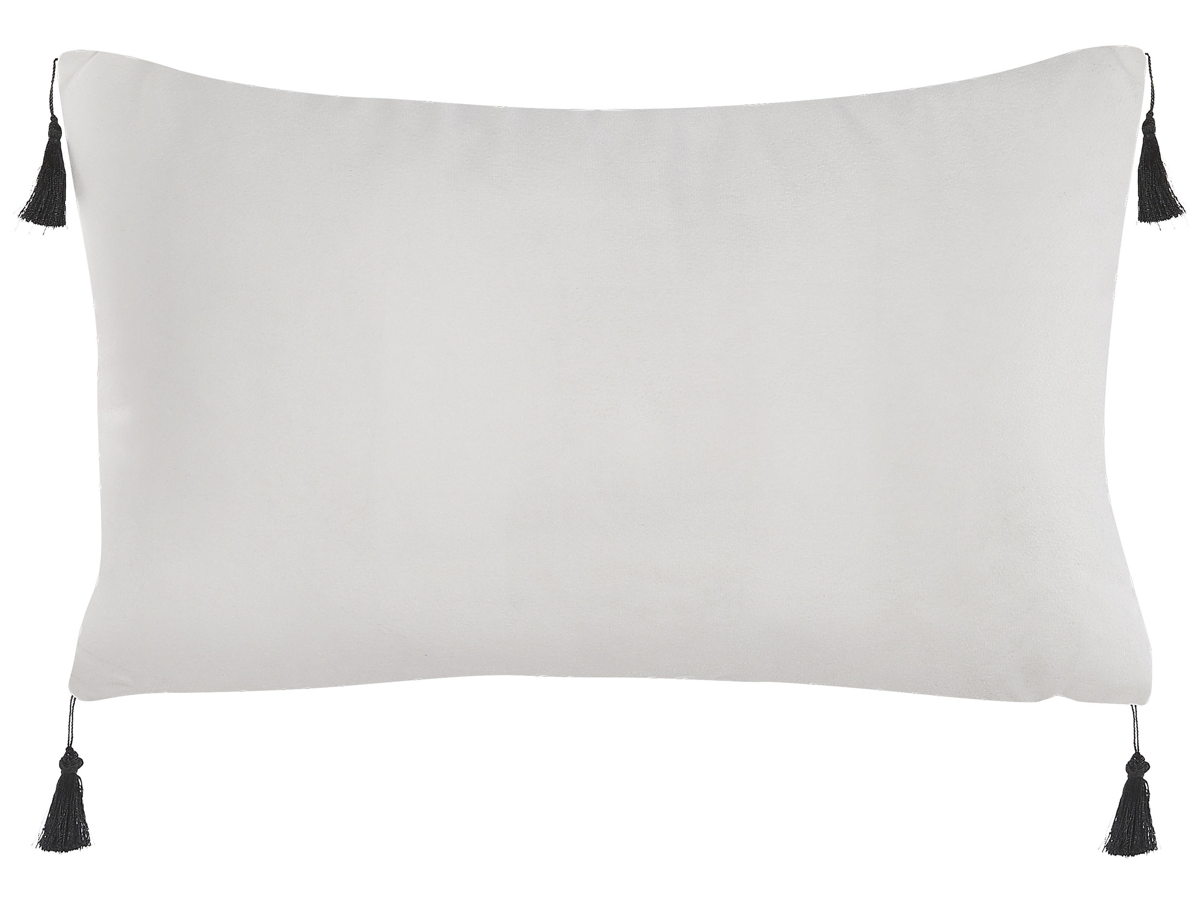 Set van 2 sierkussens SCHEFFLERA Fluweel 30 x 50 cm Wit geometrisch patroon