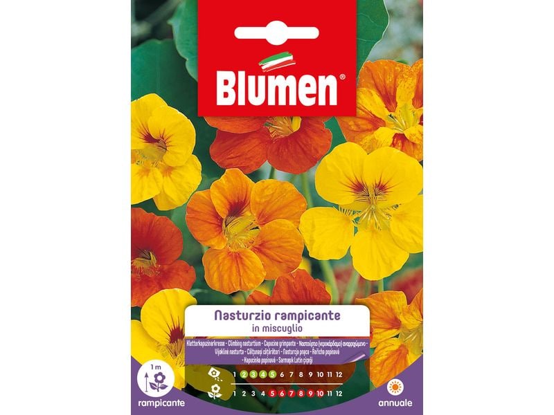 Blumen Saatgut Kletterkapuzinerkresse Mix Blumensamen