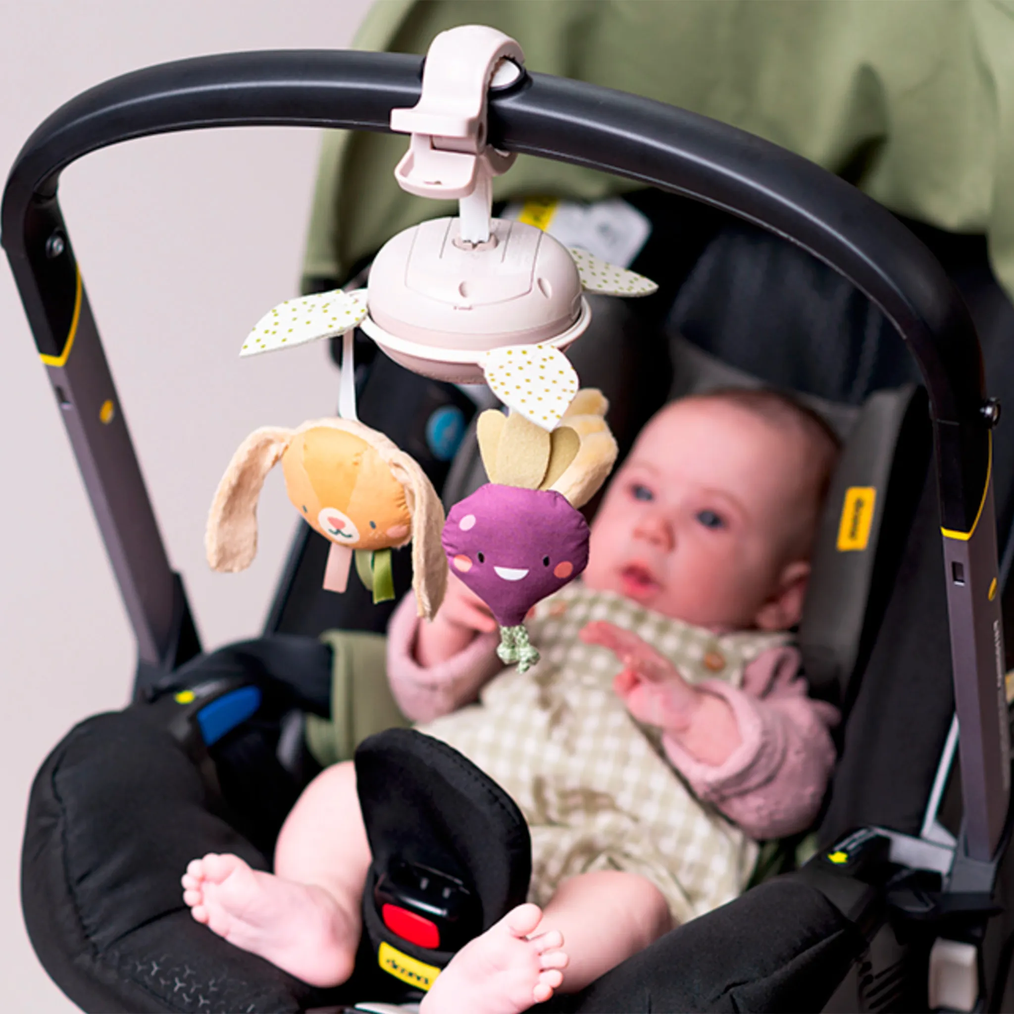 Taf Toy Mobile Jardin
