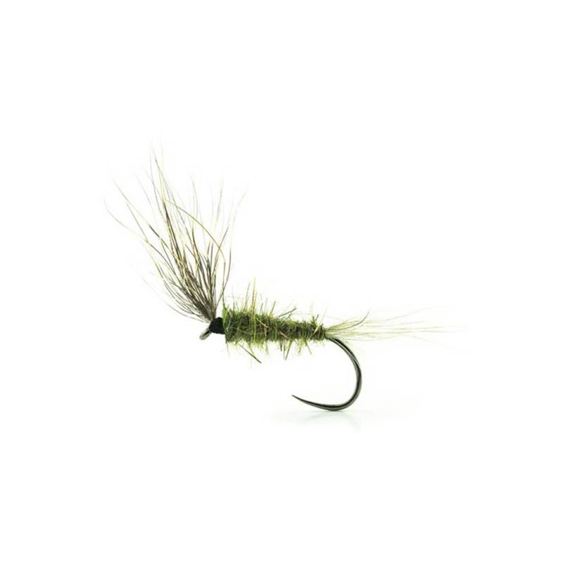 Mouche Devaux Emergente Hl03