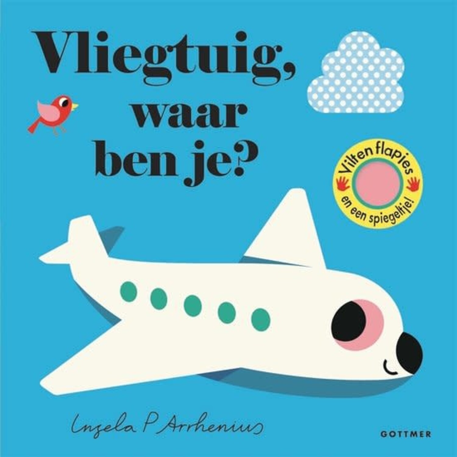 Boek | Vliegtuig, waar ben je?