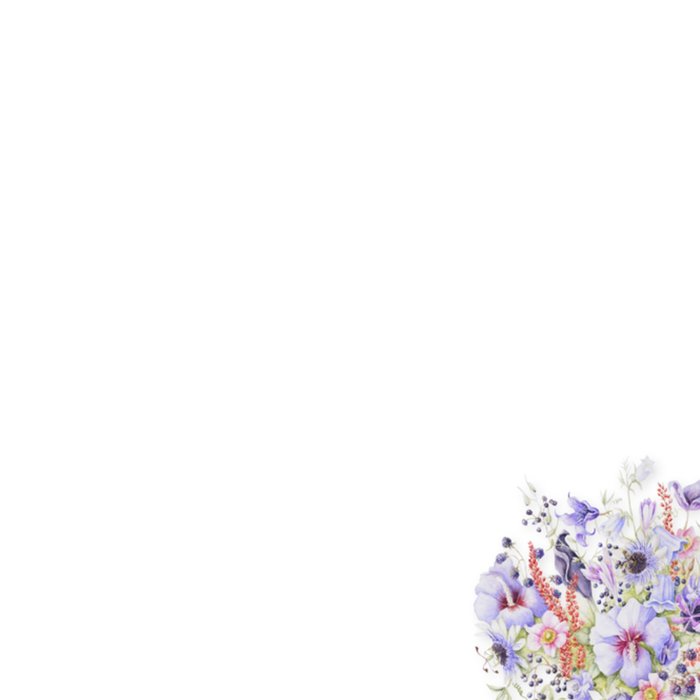 Janneke Brinkman | Beterschapskaart | Bloemen en vlinders