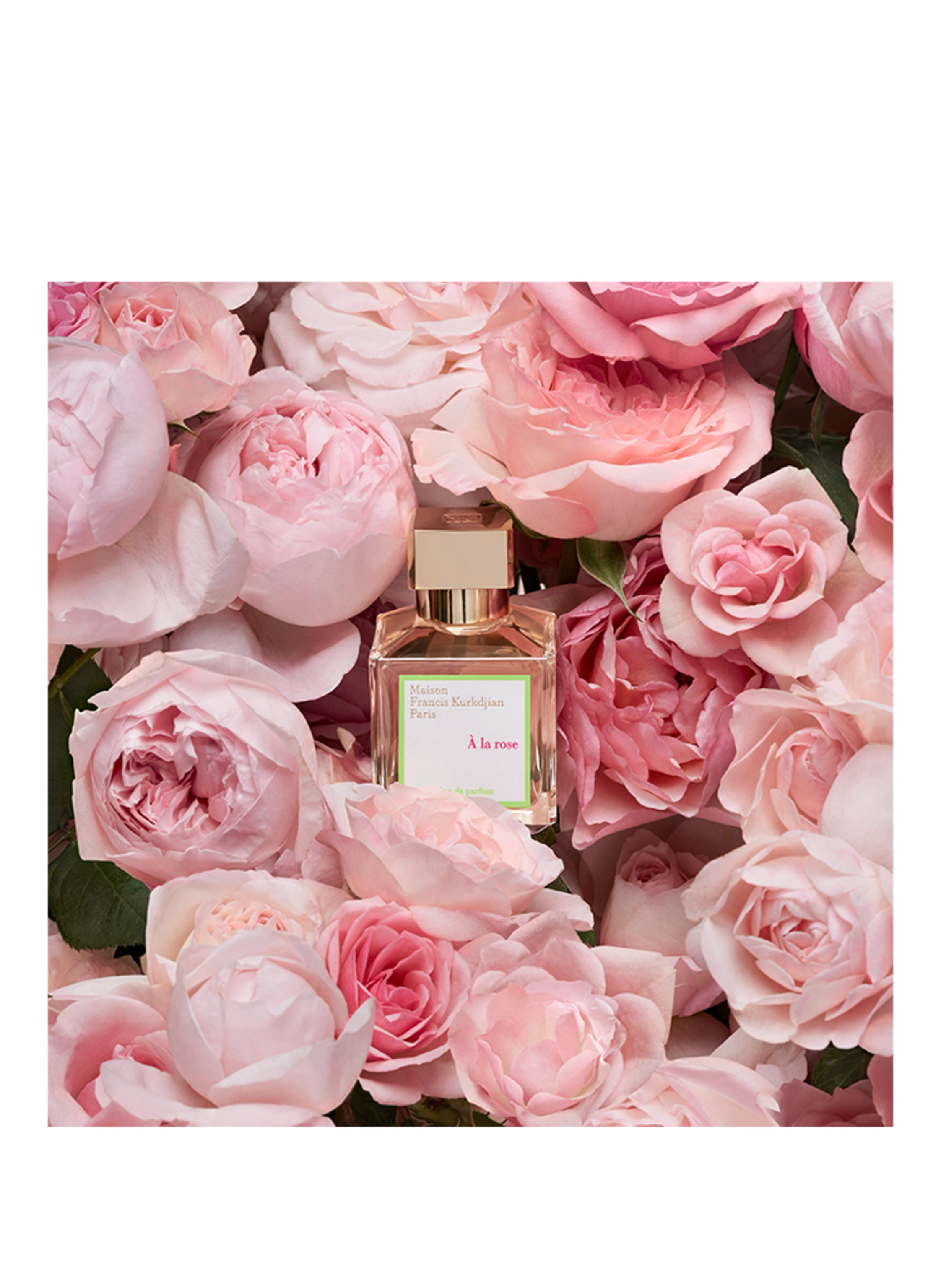 Maison Francis Kurkdjian À LA ROSE