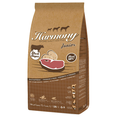 Harmony Dog Natural Black Angus Junior
