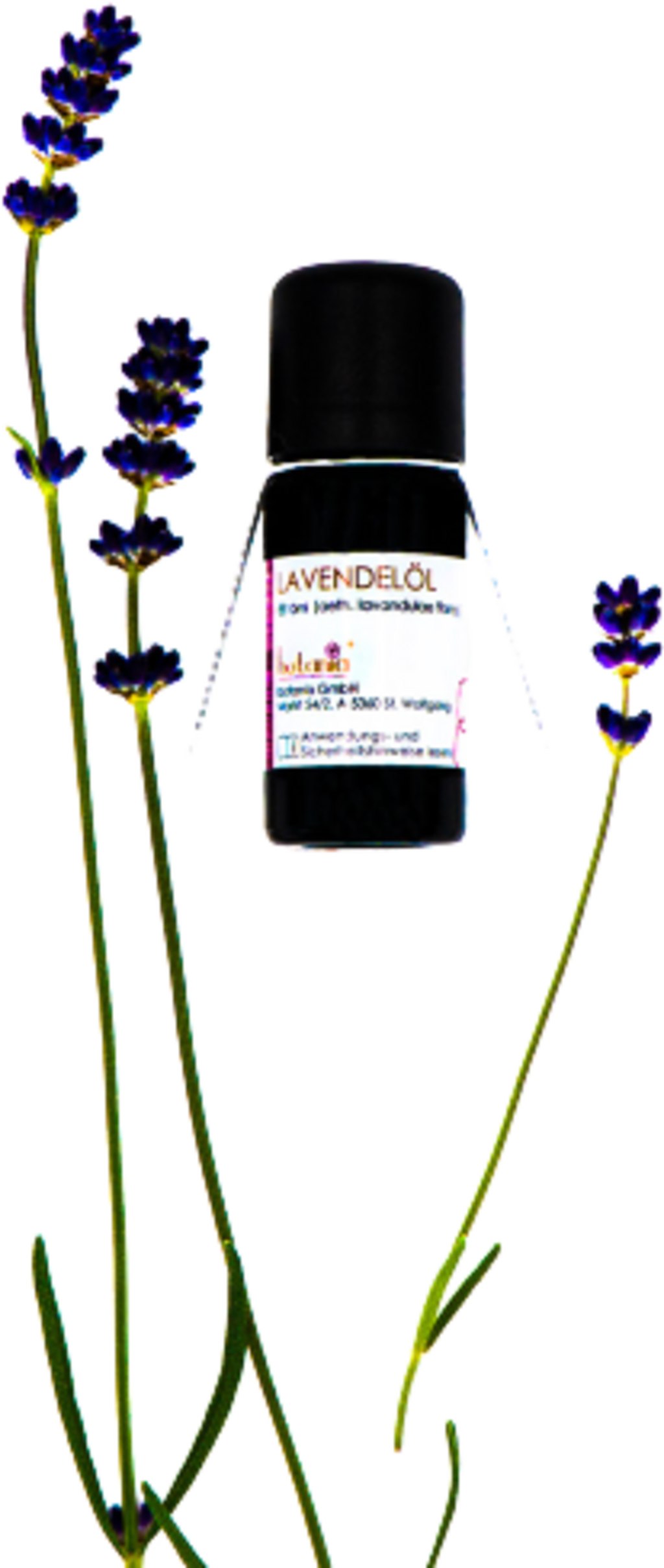 botania  Lavendelöl Premium, 10 ml