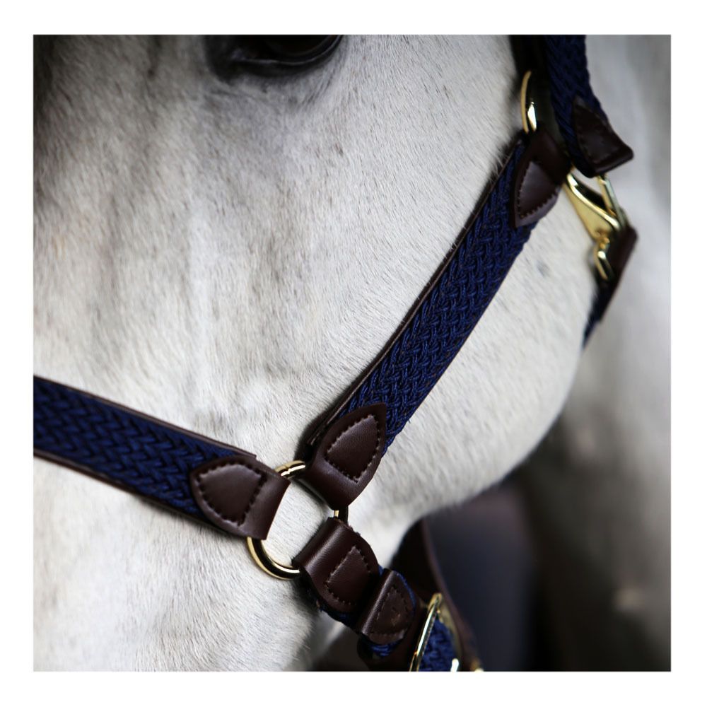 Kentucky NYLON TRESSÉ - Licol bleu marine