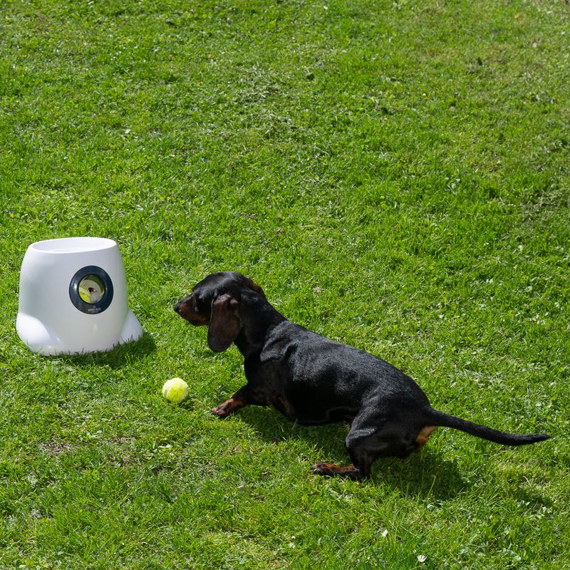 Lanceur automatique de balles de tennis Nomad Tales Bloom