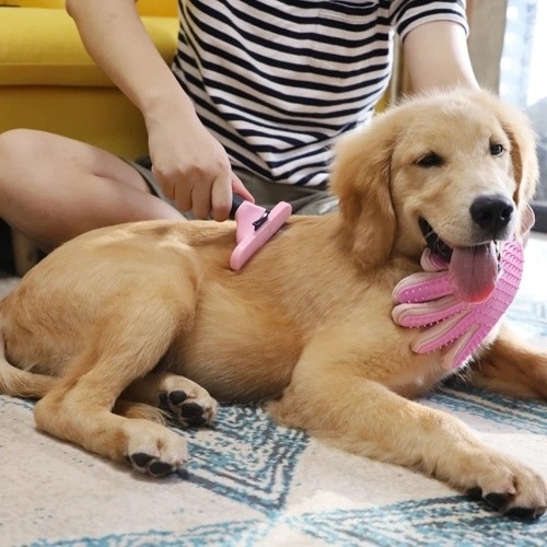 Escova para animais de estimação MyPetCare, rosa