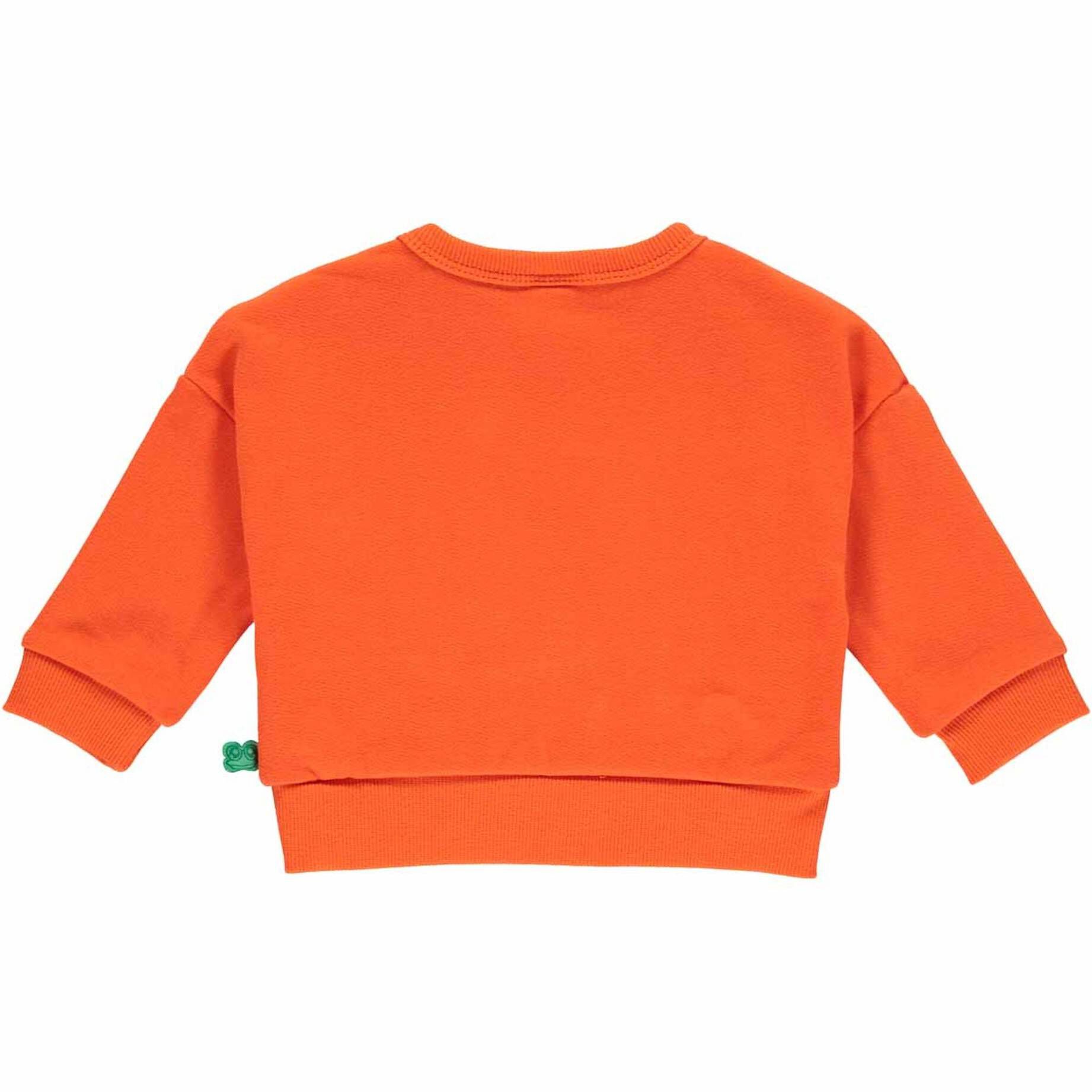 Fred's World by Green Cotton| Jungen Babysweatshirt