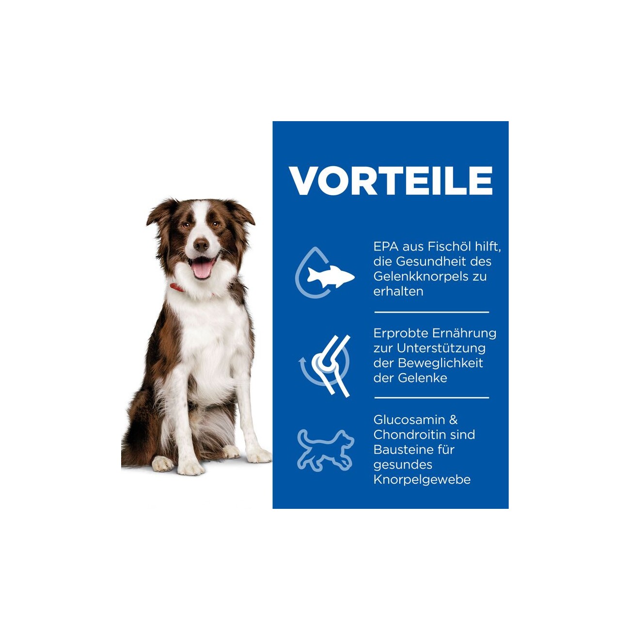 Hill's Science Plan Healthy Mobility Medium Breed Adult 1+ mit Huhn 14 kg