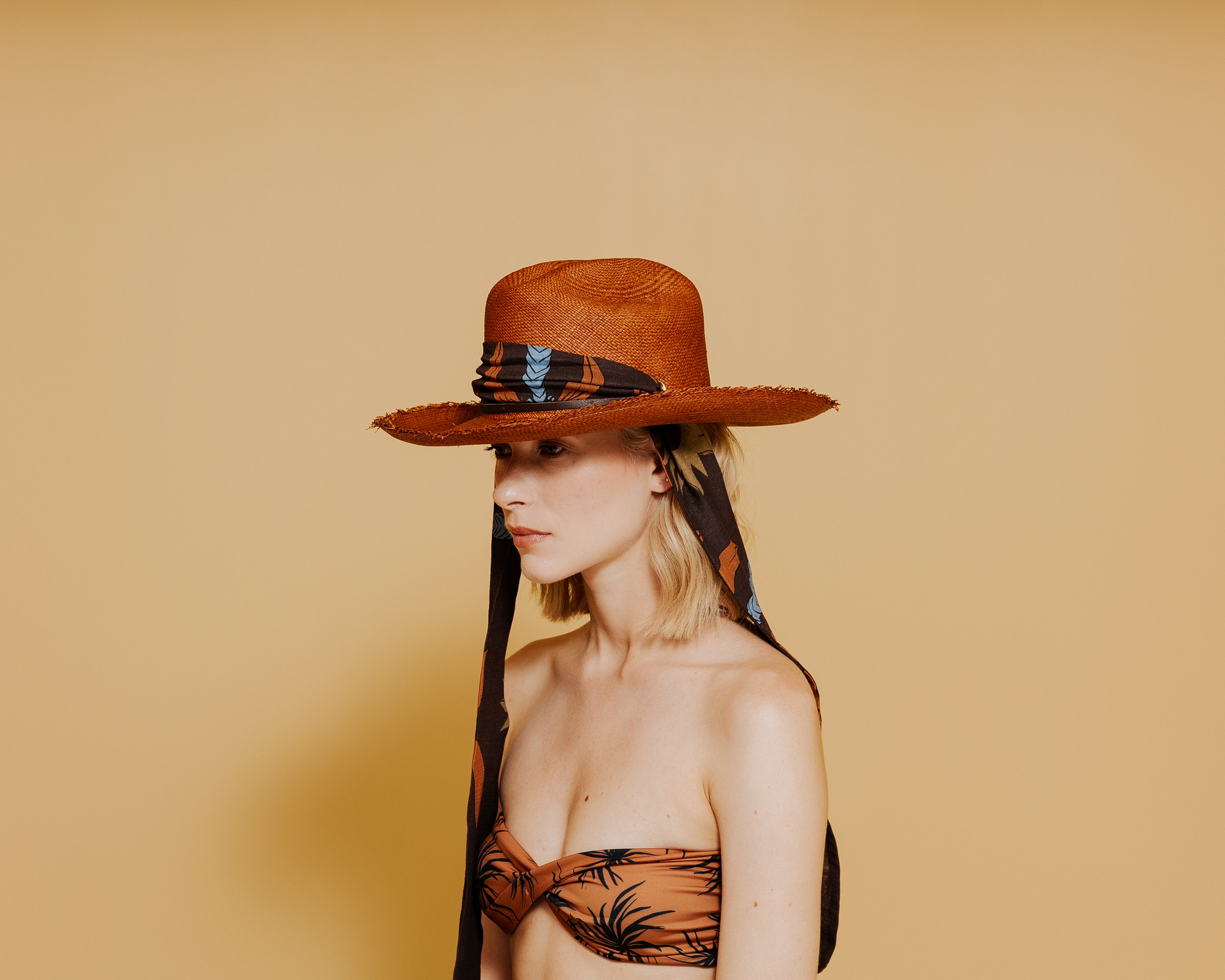 Chapeau à longs bords du Texas