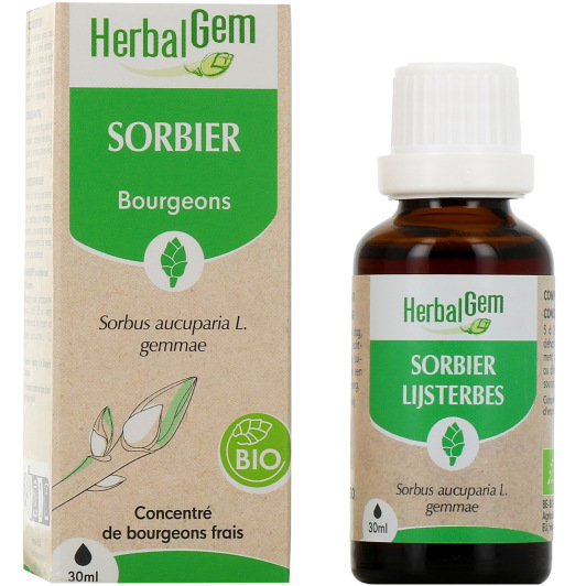 Herbalgem macérat sorbier bio - Gemmothérapie concentrée