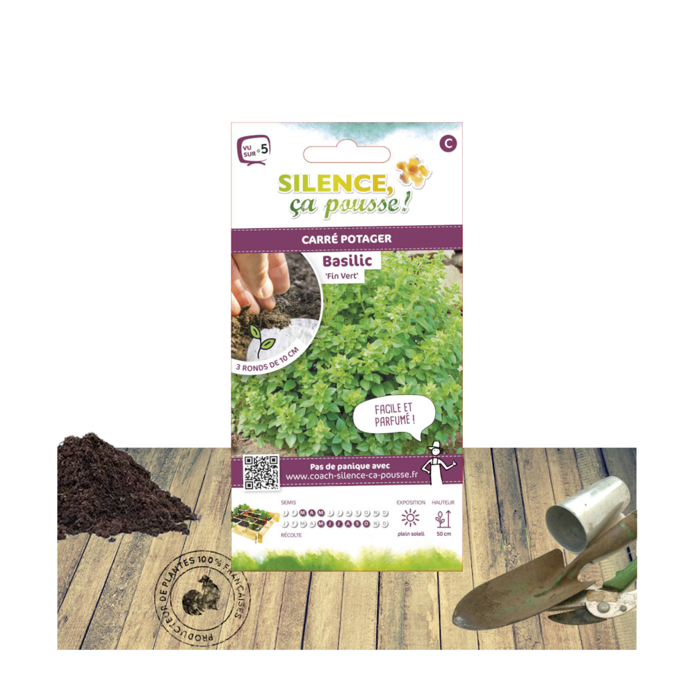 Graines de basilic fin vert/ocimum basilicum fin vert[-]présemée