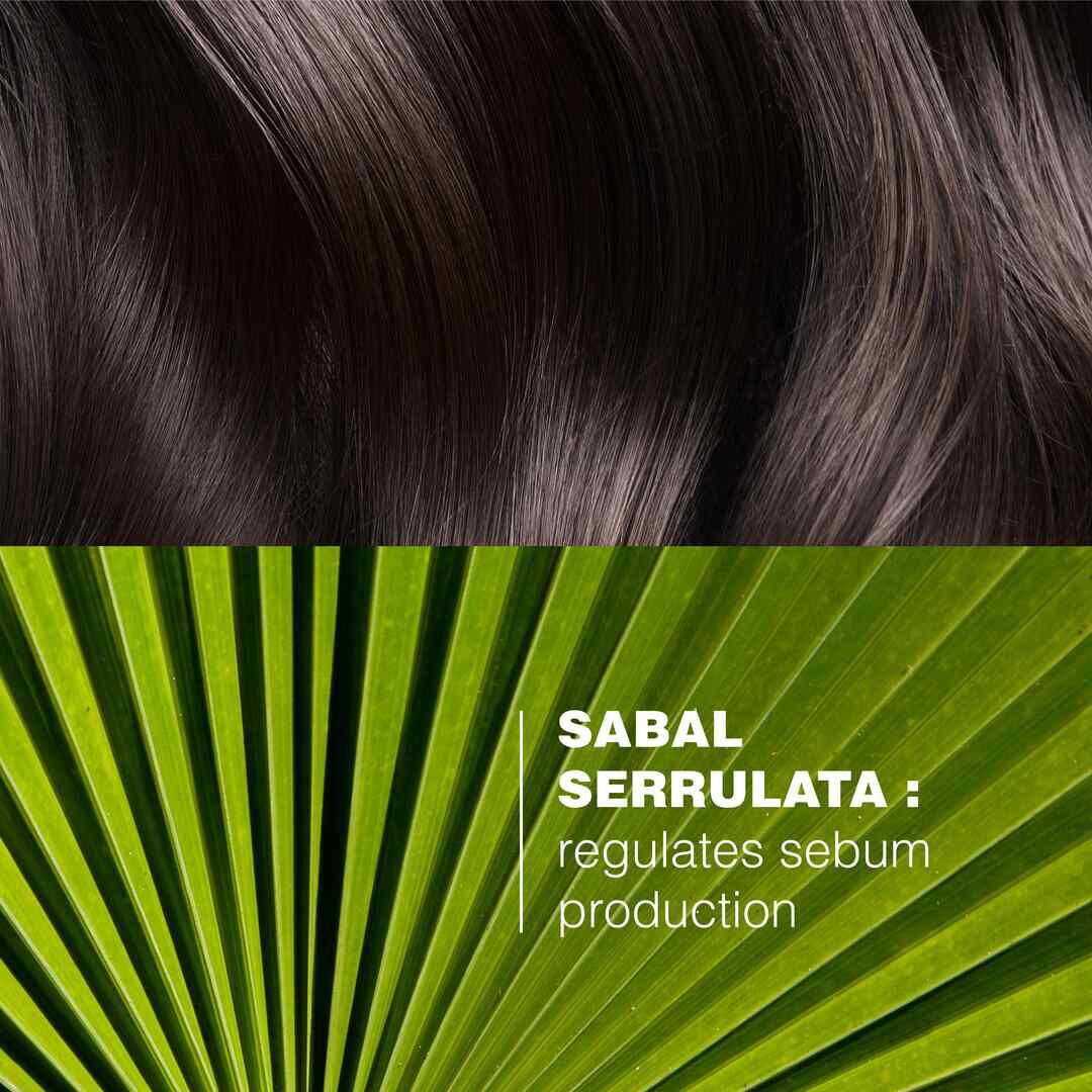 Sabal Argeal Champô Sebo Redutor - 200ml