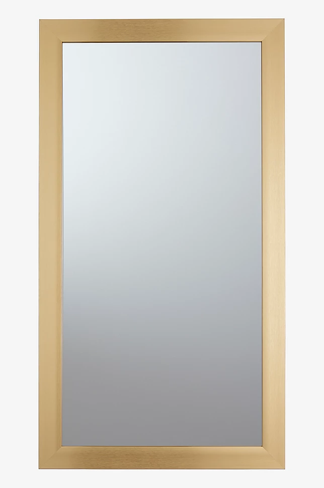 ENVY speil 40x80 cm