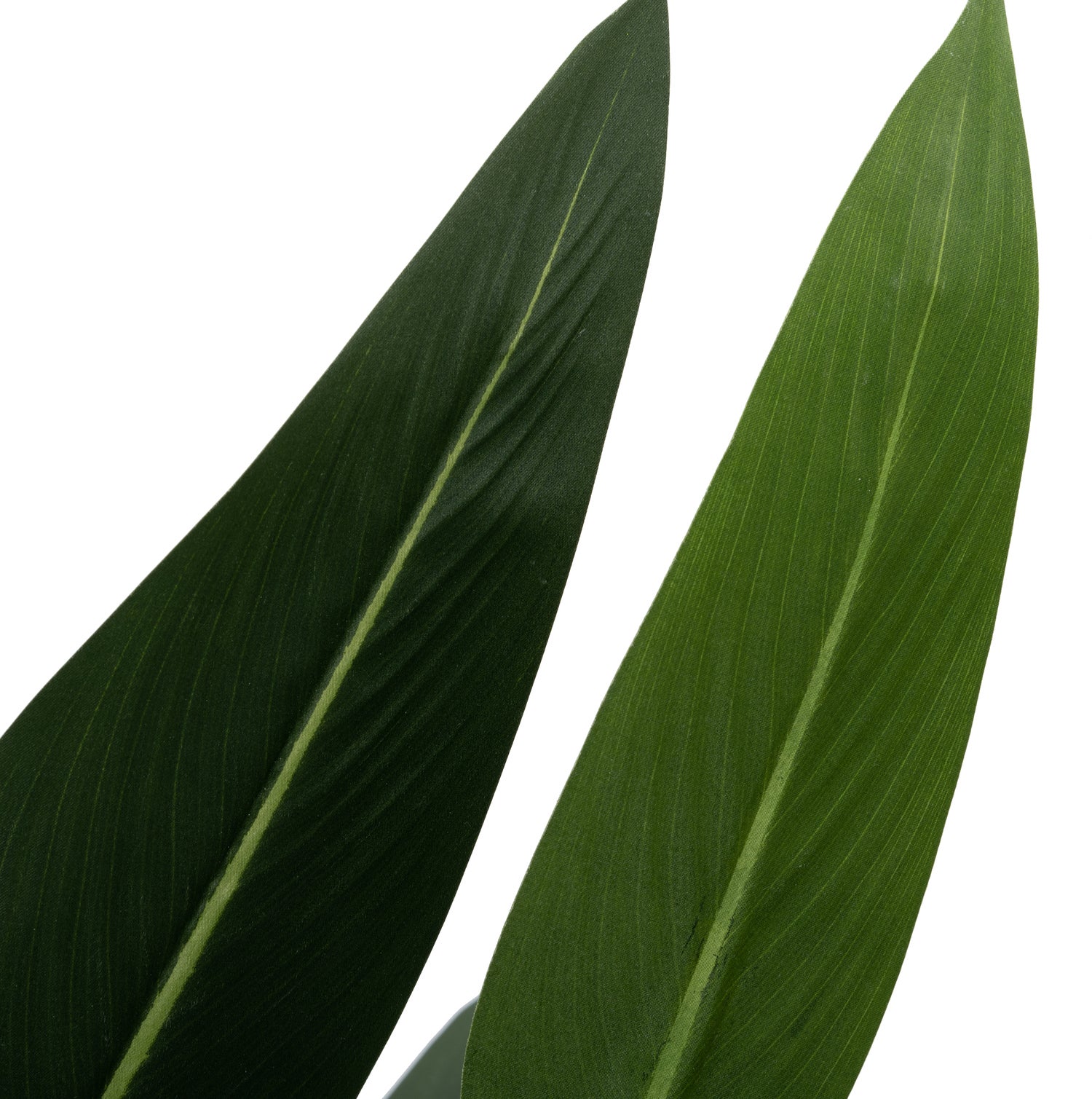 Intratuin kunstplant Paradijsvogelplant 65 x 65 x 160 cm