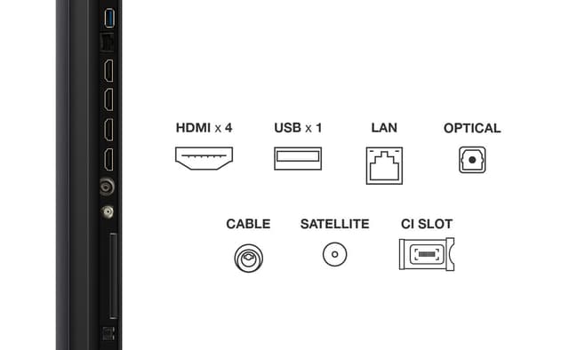 TCL 55