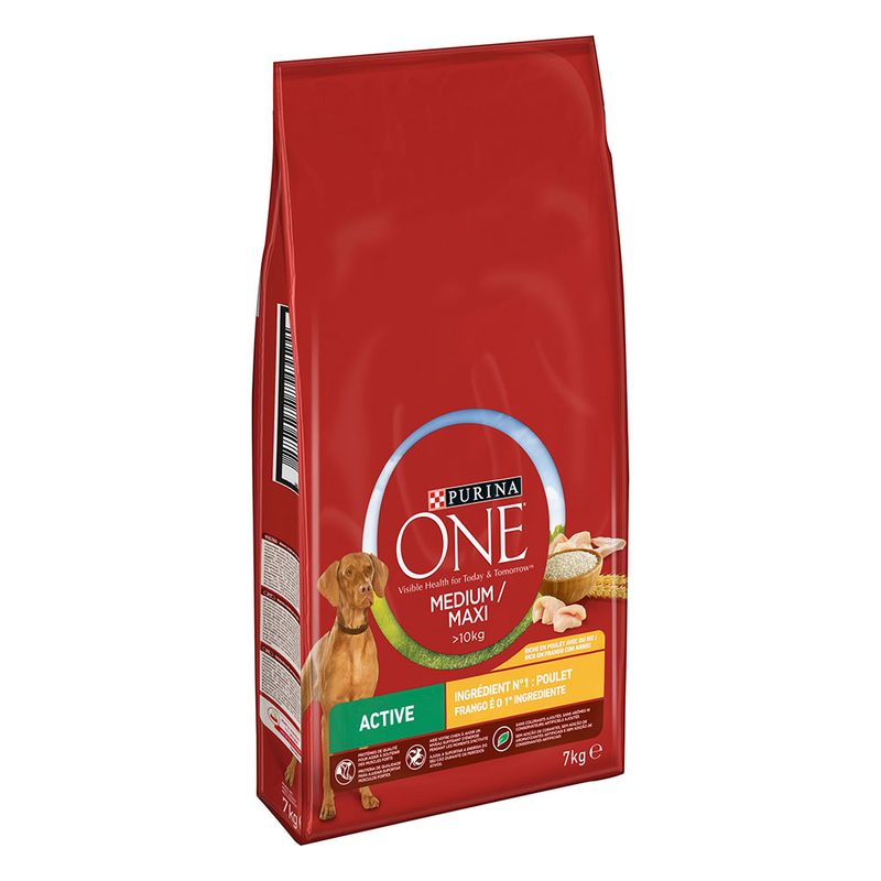 PURINA ONE Medium/Maxi Active poulet