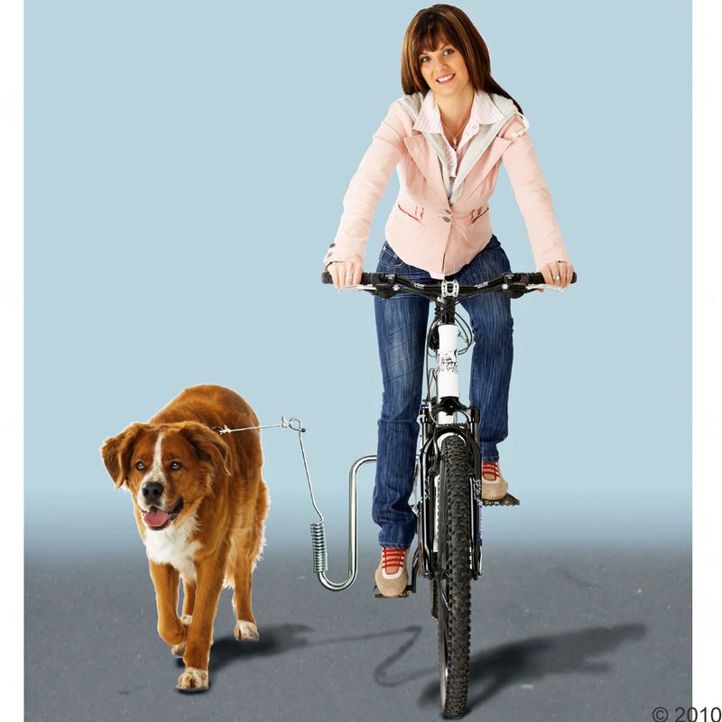 Support métallique pour vélo Kleinmetall Dogrunner