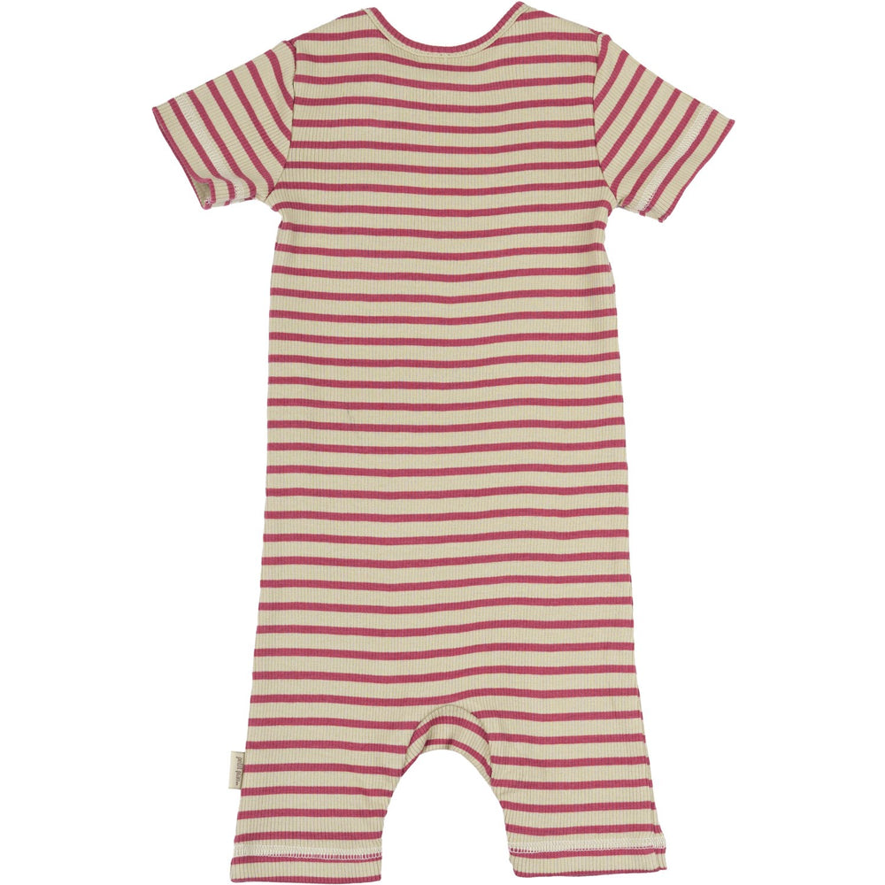 Køb Petit Piao Light Berry/Dark Off White Sommerdragt S/S Modal Striped