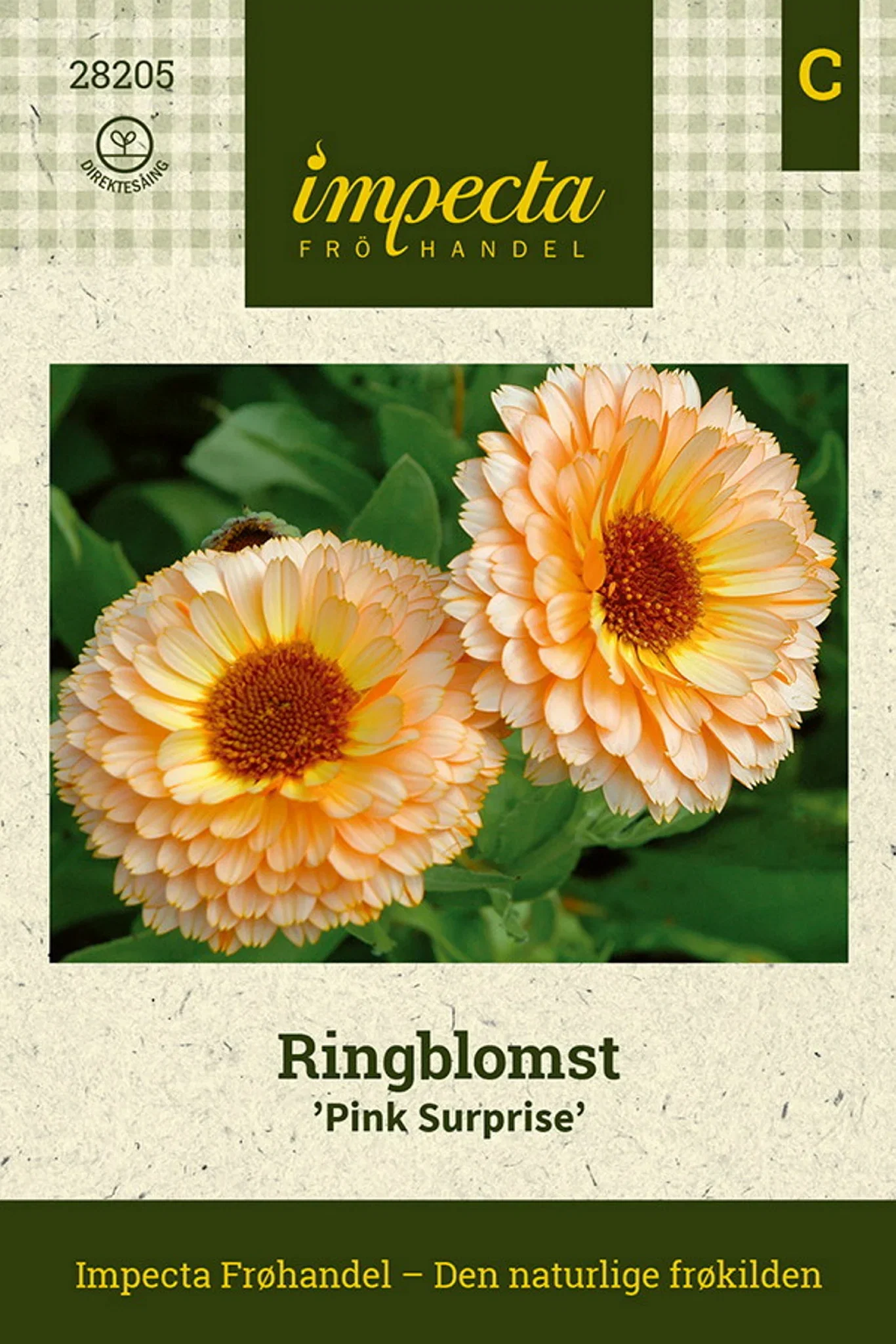 Calendula officinalis 'Pink Surprise' Ringblomst 'Pink Surprise'